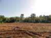 dsc06865_small.jpg