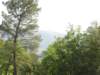 dsc06866_small.jpg