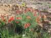 dsc06869_small.jpg